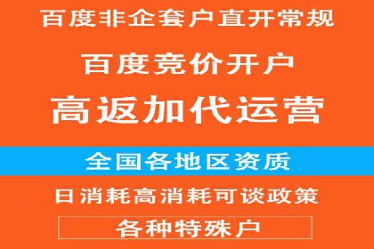 百度推广费用的投入与市场占有率提升的关联案例
